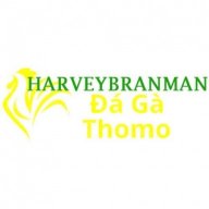 dagaaharvey