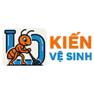 kienvesinh