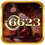 6623vnshop