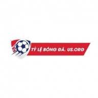 tylebongdausor