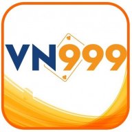 vn999org