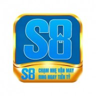 s8innet