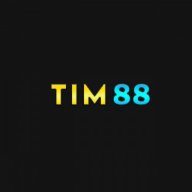 tim88art