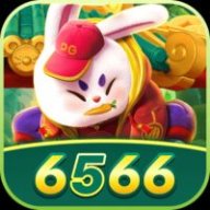 6566baixarcomb