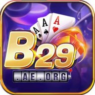 b29aeorg