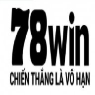78wintvv