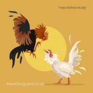 thomohomnayfaw