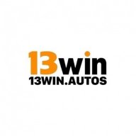 13winautosvn1