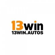 13winautosvn