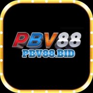 Pbv88bid1