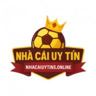 nhacaiuytinson