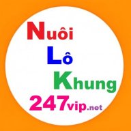 nuoilokhung247