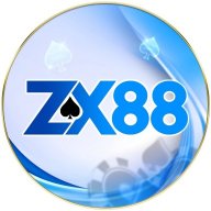 zx88cam