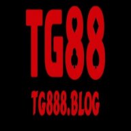 tg888blog
