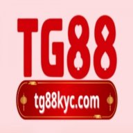 tg88kyccom