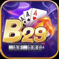 b29aeorgvn