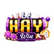 haywinuscom
