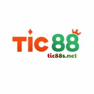 tic88snet