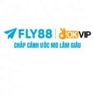 fly88commx1