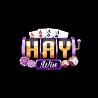 linkhaywinvi