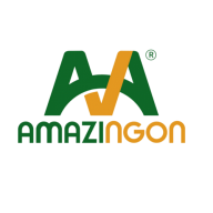 amazingngon
