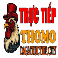 dagatructiepab