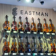 violinchonguoi