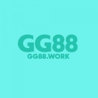 Gg88vnnet3