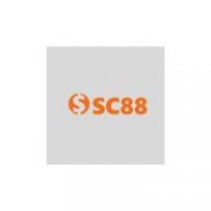 sc8818com1
