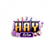 2haywincom1