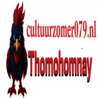 thomohomnaycul