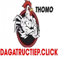 dagatructiepcl