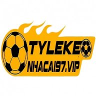 tylekenhacai97