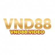 vnd88video