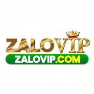 zalov1ptop