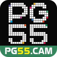 pg55cam