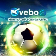 vebozggcc