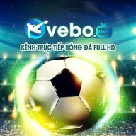 veboziicc