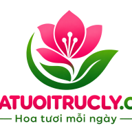 hoatuoitayninh