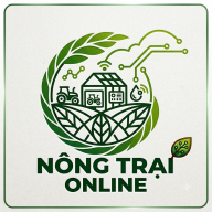nongtraionline