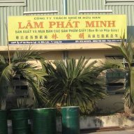 Nhi Lam
