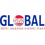 HSVN GLOBAL