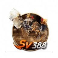 sv388sarl