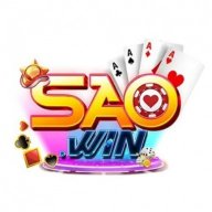 saowinteam1