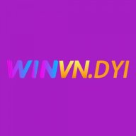 winvndiy