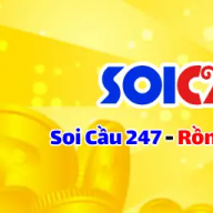 soi_cau_mb_247