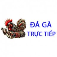 dagatructiepba