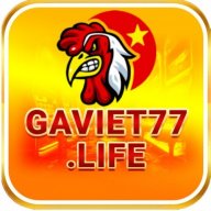 gaviet77life