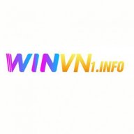 winvn1info