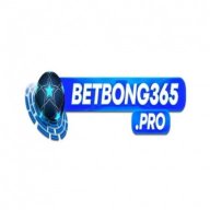 betbong365pro